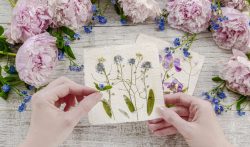 The Best Way to Preserve Your Flowers: Handmade Flower Press